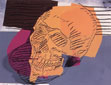 Skulls 157